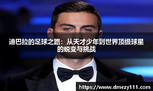 jn江南·体育登录入口