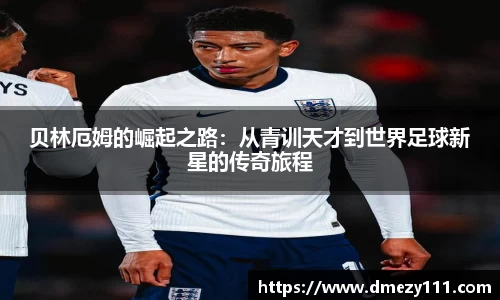 jn江南·体育登录入口