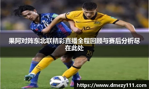 JN体育